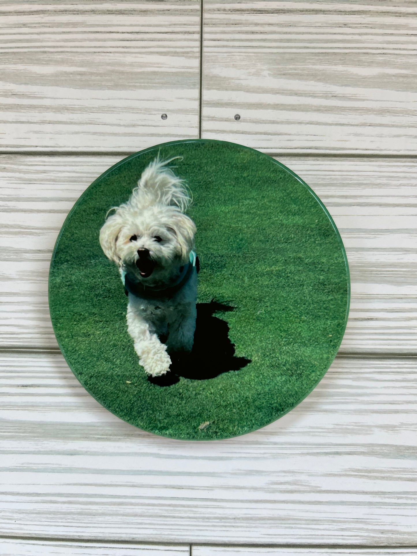 Personalized Photo Coasters